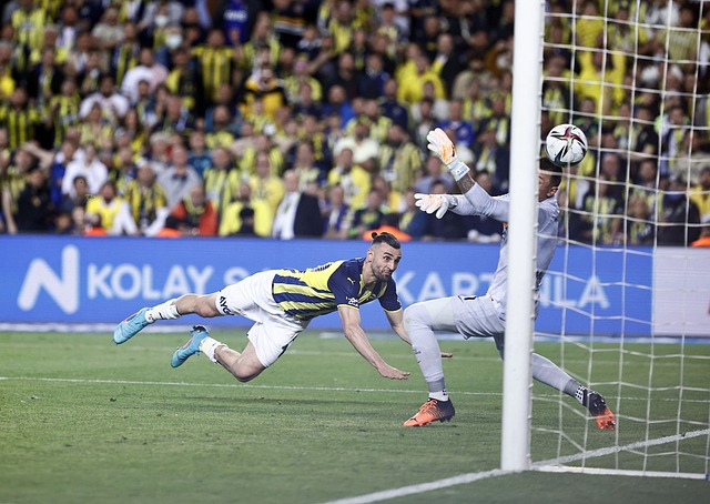 這樣的表現 這樣的表現