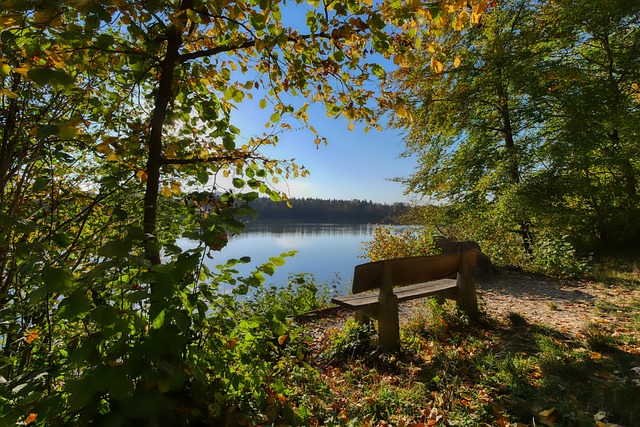 在南安普頓 在南安普頓