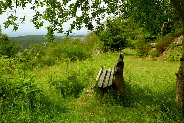 供了一个学 供了一个学