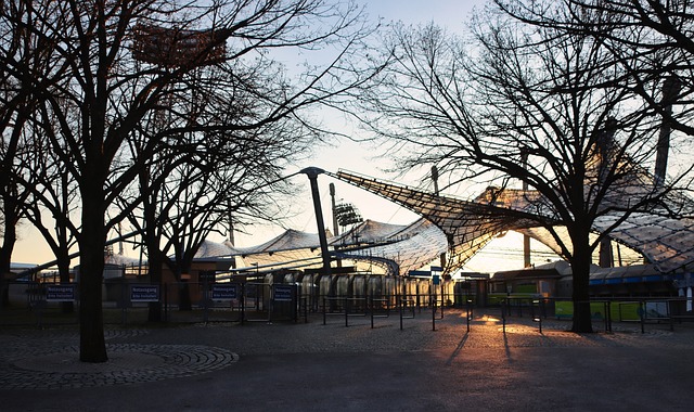 导和团队建 导和团队建